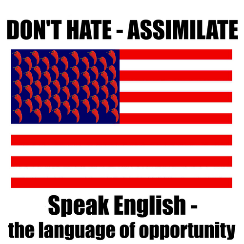 T-Shirt: DON'T HATE, ASSIMILATE